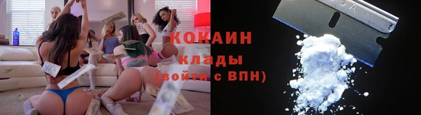 Альфа ПВП Бородино