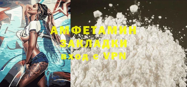 дмт Богданович