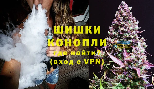 сатива Богородицк