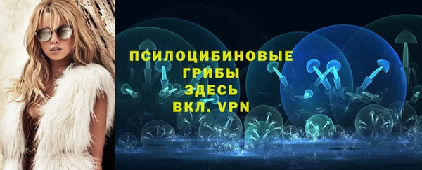 Альфа ПВП Бородино