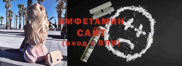 дмт Богданович